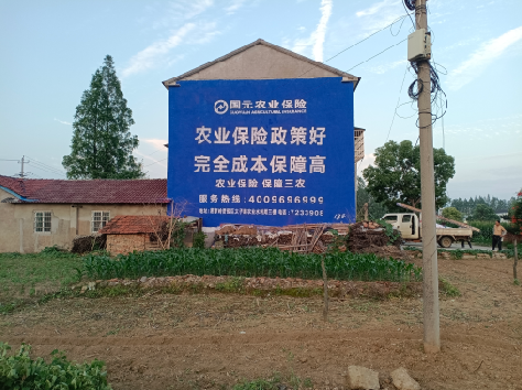 德格墙体广告为何受追捧？